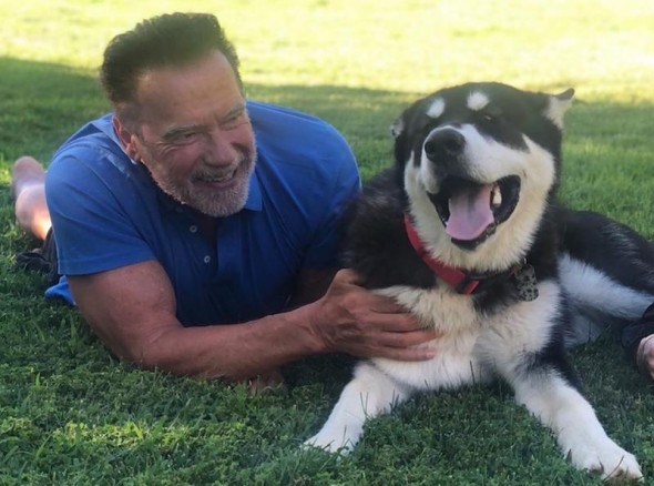 Arnold Schwarzenegger, la 73 de ani - Discursul motivațional și sportul ca mod de viață: Nu există nu pot